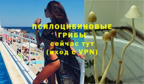 jwh Инсар