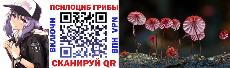 Галлюциногенные грибы прущие грибы  Купить где  Гусиноозёрск 